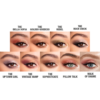 PALETTE DE LUXE KIT DE FARDS À PAUPIÈRES KIT POUR LES YEUX
