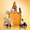 PARFUM STAR CONFIDENCE 100 ML