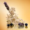 PARFUM STAR CONFIDENCE 100 ML